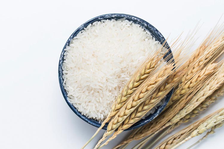 خرید برنج خوزستان