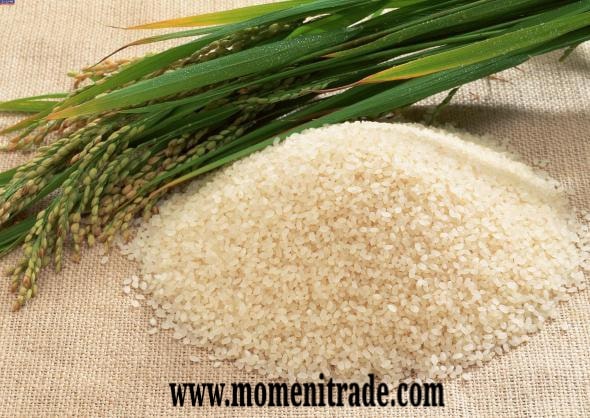 پخش برنج بازرگانی مومنی