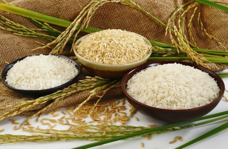 خرید برنج لنجان تضمینی امسال