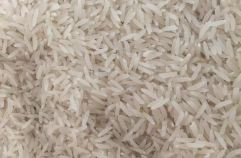 خرید برنج فجر سوزنی درجه یک