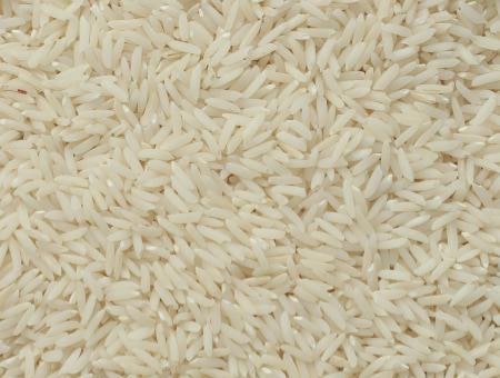خرید برنج طارم هاشمی دابو