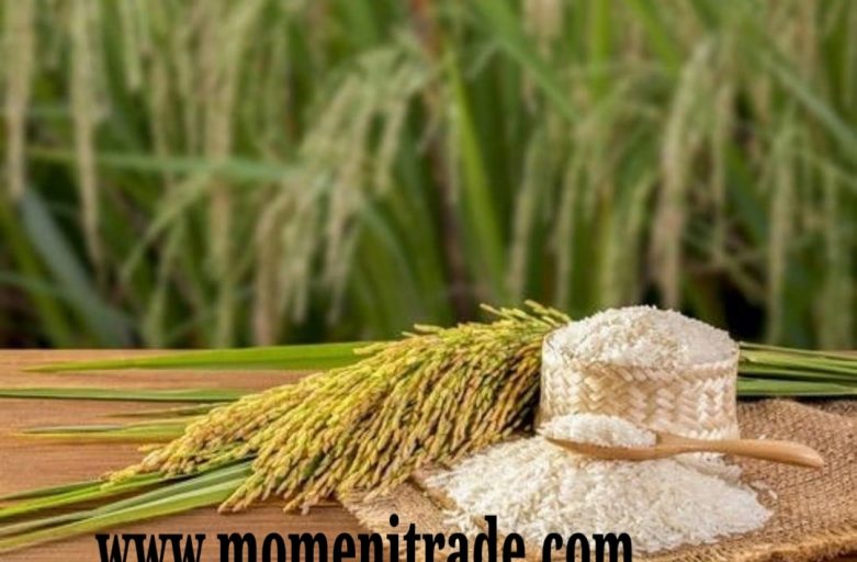 لیست قیمت برنج لنجان