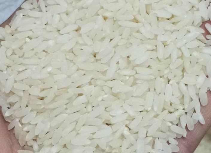 عرضه و فروش برنج لنجان
