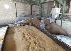 نیاز بازار ایران به پودر گوشت