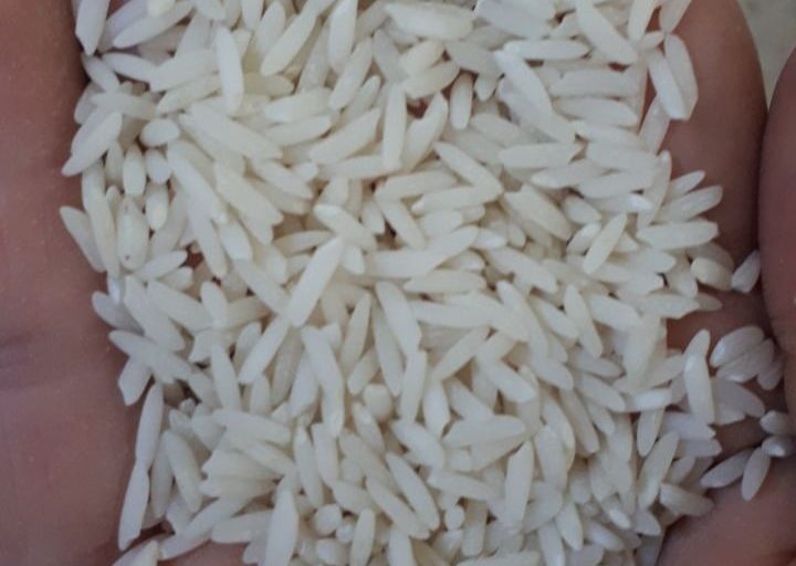 برنج لنجان اصل