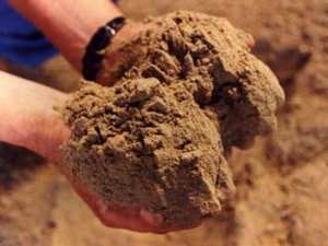 پودر گوشت ماهی تیپ ۳