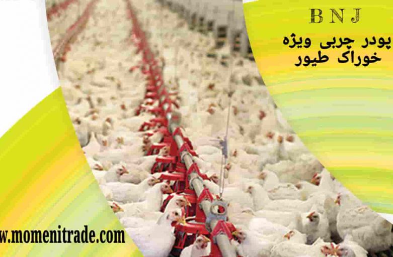 پودر چربی بی ان جی خوراک طیور