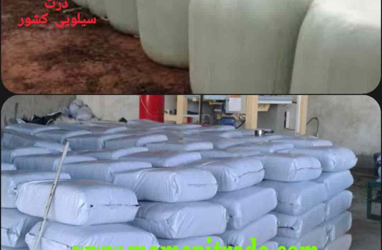 خرید سیلاژ ذرت