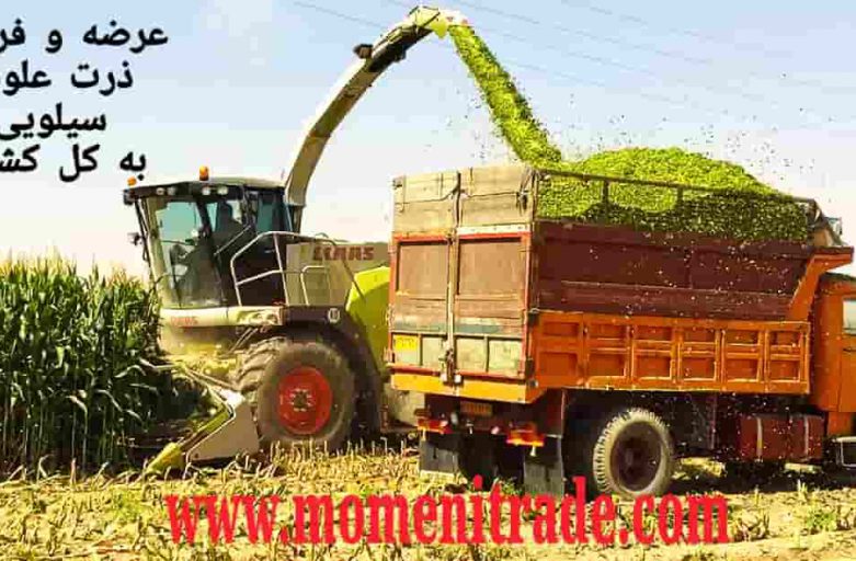 خرید ذرت علوفه سیلویی
