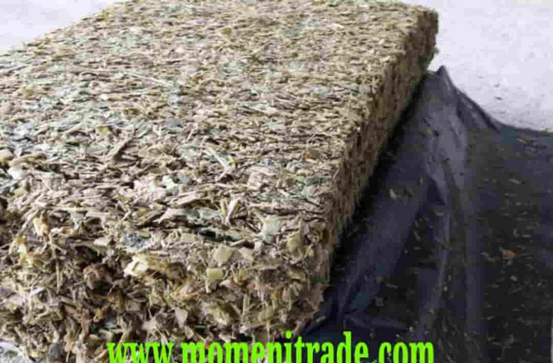 علوفه ذرت بسته بندی سیلویی
