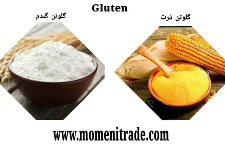گلوتن دامی