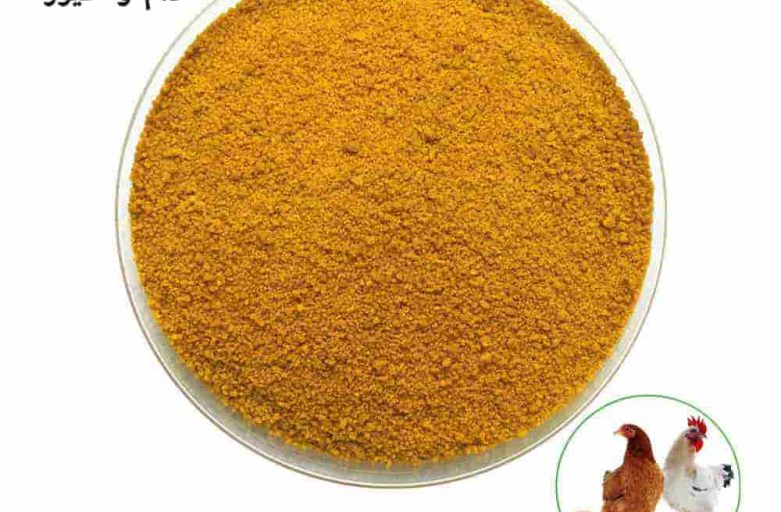 گلوتن طیور