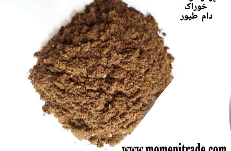 پودر گوشت خوراک دام