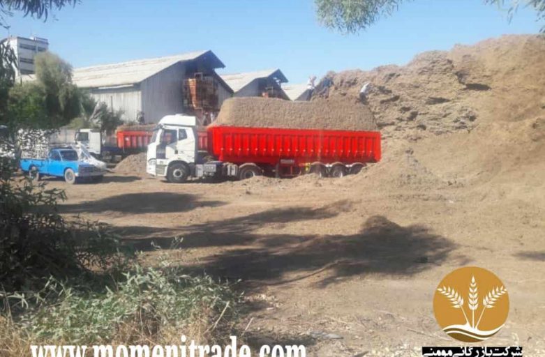 مراکز خرید فروش باگاس نیشکر دامی