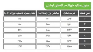 دان آماده مرغ