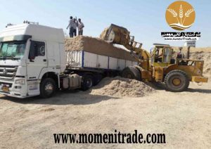 باگاس یا کاه نیشکر
