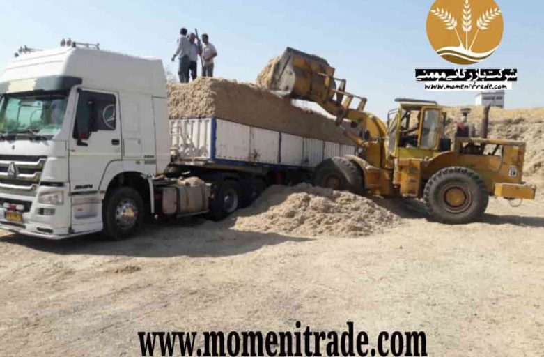 باگاس یا کاه نیشکر