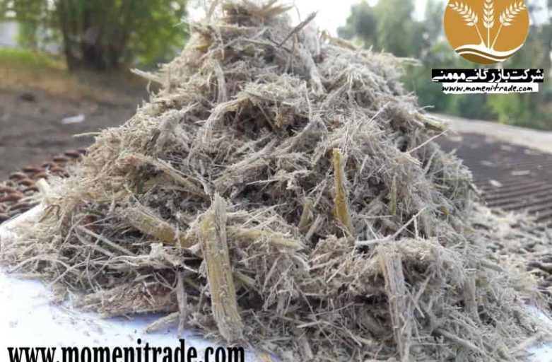 باگاس نیشکر چیست