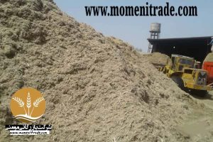 عرضه باگاس یا کاه نیشکر خوراک دام