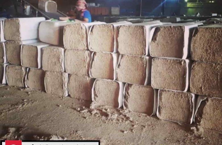 خرید باگاس بلوک یا بسته بندی
