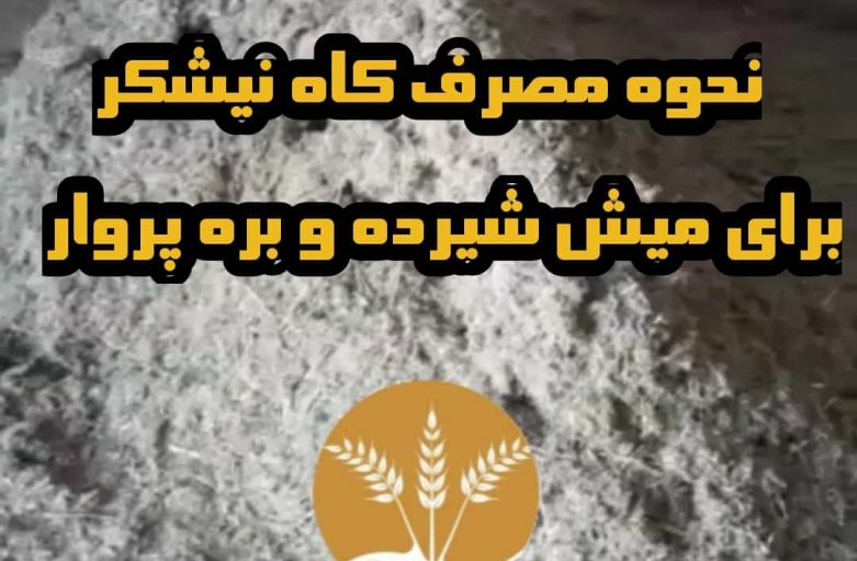 نحوه مصرف باگاس