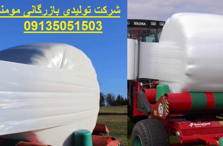 علوفه ذرت سیلو شده