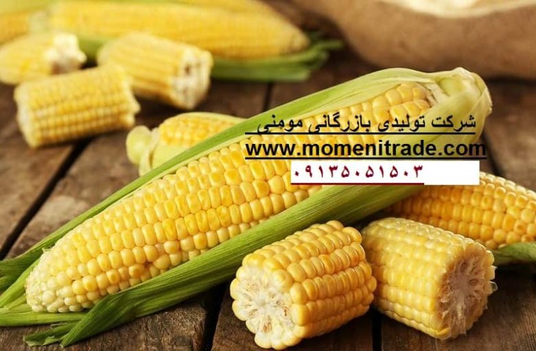 قیمت خرید ذرت علوفه امسال