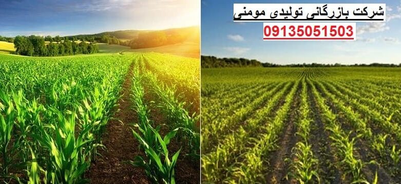چاپر ذرت علوفه