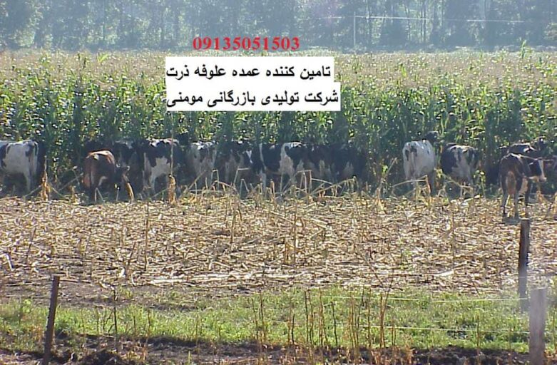 چاپر ذرت علوفه ای خرید