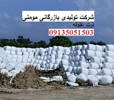 خرید ذرت علوفه سیلاژ چاپر