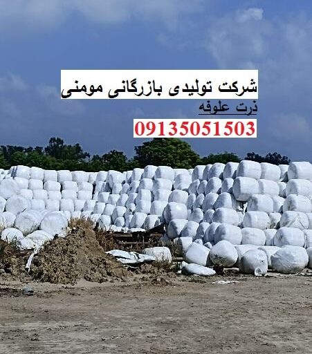 خرید ذرت علوفه سیلاژ چاپر