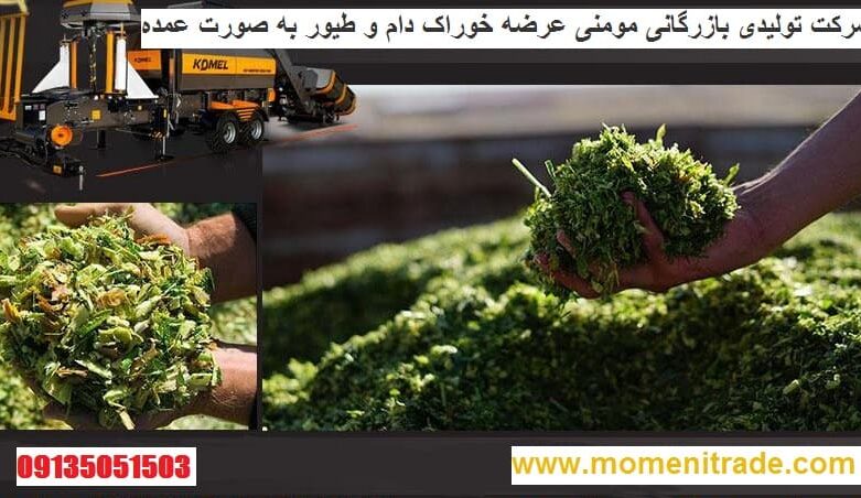 قیمت و خرید سیلاژ ذرت علوفه ای چاپر شده