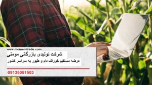 خرید مستقیم ذرت علوفه خوراک دام