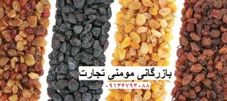 معرفی انواع بهترین کشمش ایران