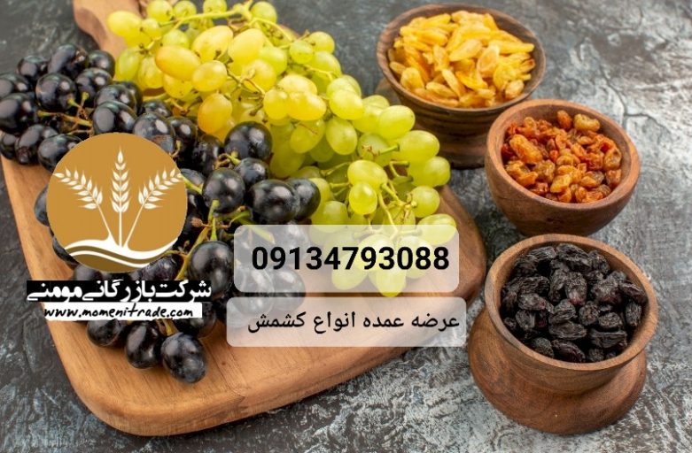 کشمش ملایر ، خرید فروش و قیمت