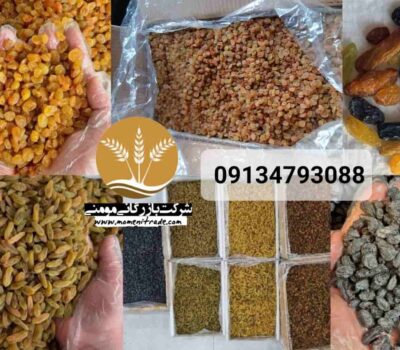 فروش کشمش صادراتی / راهنمای جامع صادرات کشمش