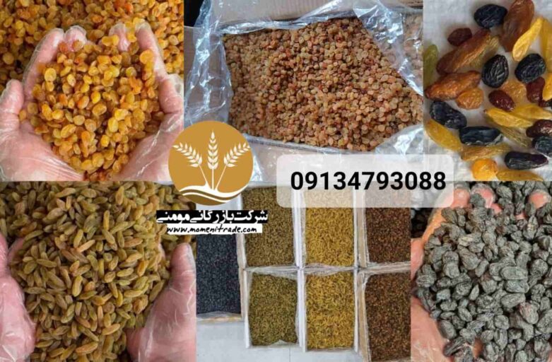 فروش کشمش صادراتی / راهنمای جامع صادرات کشمش