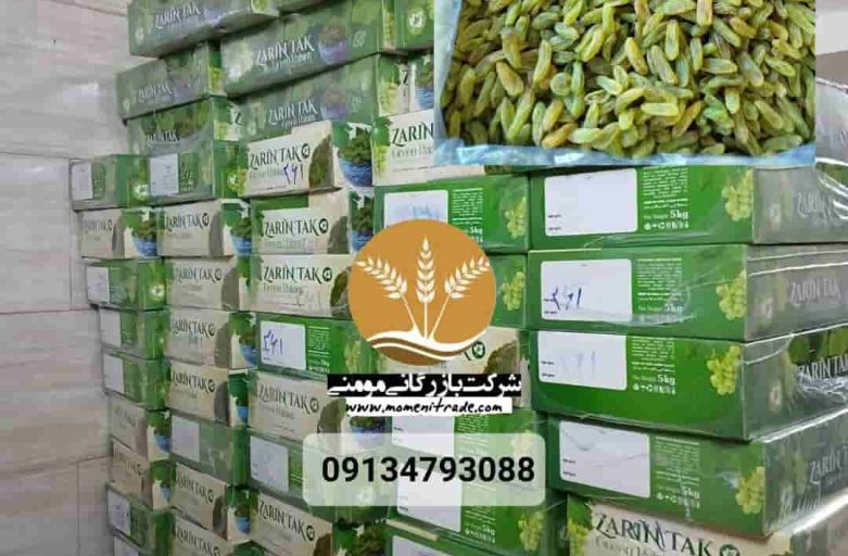 خرید کشمش برای صادرات