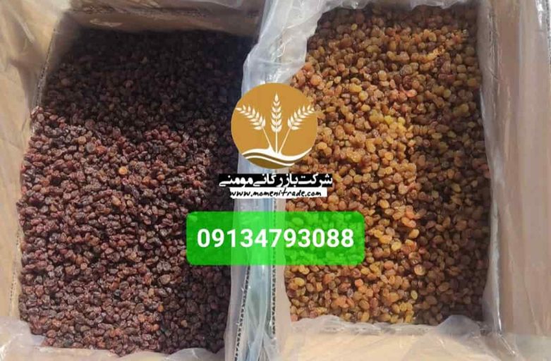 خرید کشمش اعلا: راهنمای جامع برای انتخاب