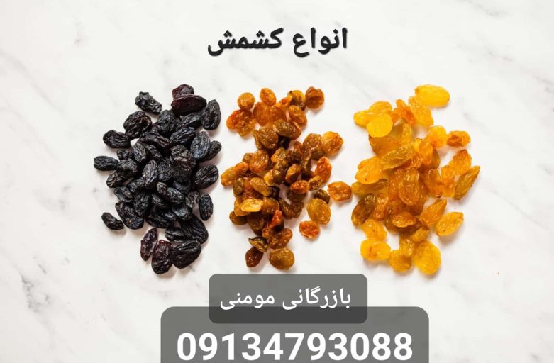 قیمت کشمش تیزابی / خرید و فروش کارخانه