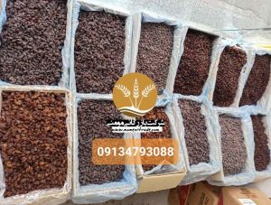 عمده فروش کشمش
