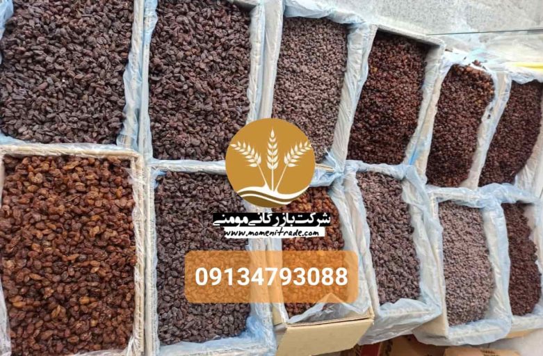 قیمت روز انواع کشمش