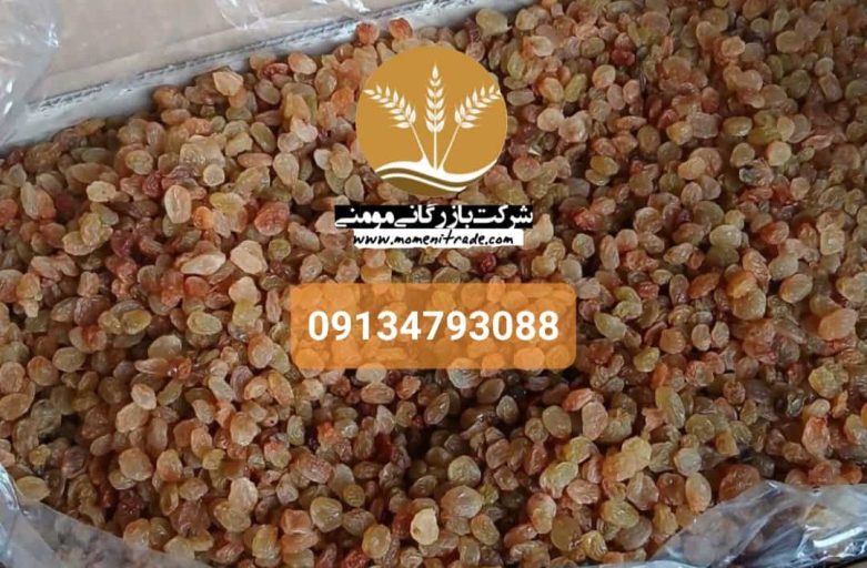 قیمت کشمش پلویی عمده
