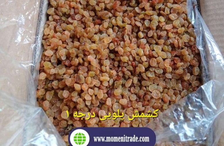 تولیدکننده کشمش پلویی