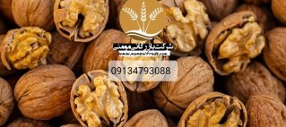 خرید گردو