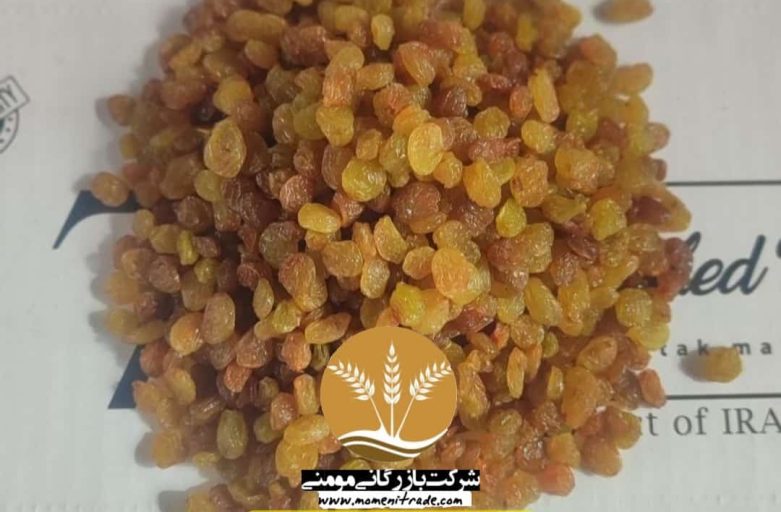 خرید عمده کشمش پلویی درجه یک با قیمت کارخانه (تحویل فوری)