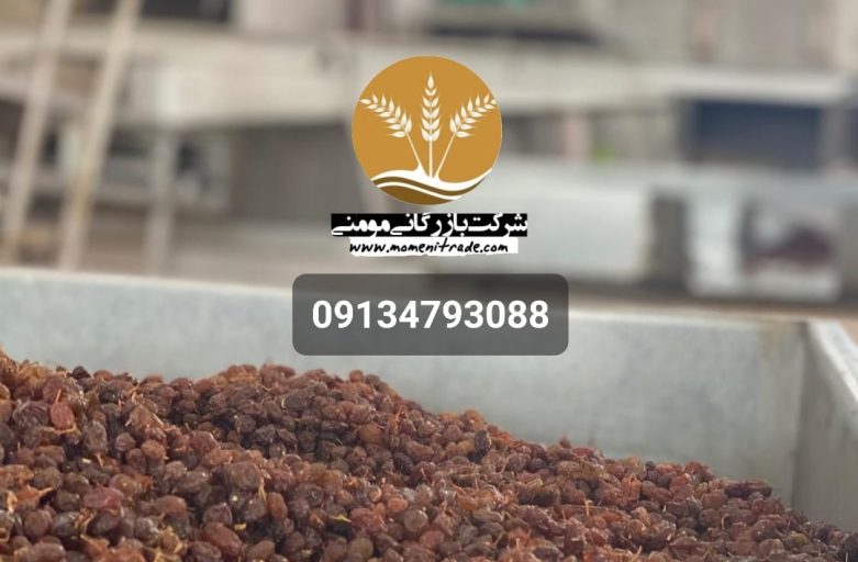 فروش انواع کشمش آفتابی